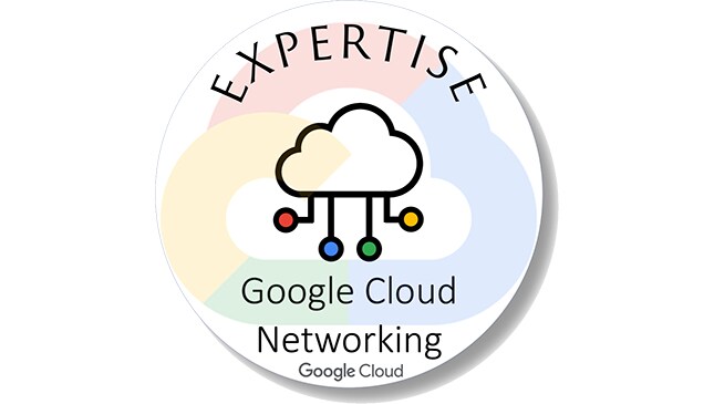 Google Cloud Networking Icon